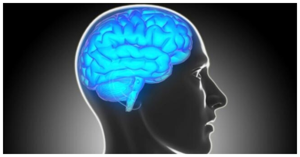 বেশিরভাগ সময় সাধারণ কিছু লক্ষণ জানায় ব্রেন ক্যানসারের পূর্বাভাস।  ছবি: এনডিটিভি